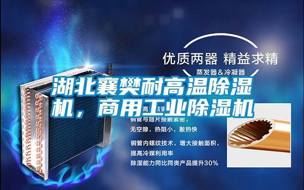 湖北襄樊耐高溫除濕機，商用工業(yè)除濕機