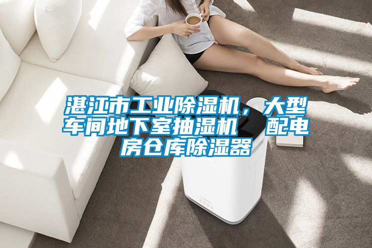 湛江市工業(yè)除濕機，大型車間地下室抽濕機  配電房倉庫除濕器