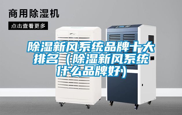 除濕新風系統品牌十大排名（除濕新風系統什么品牌好）