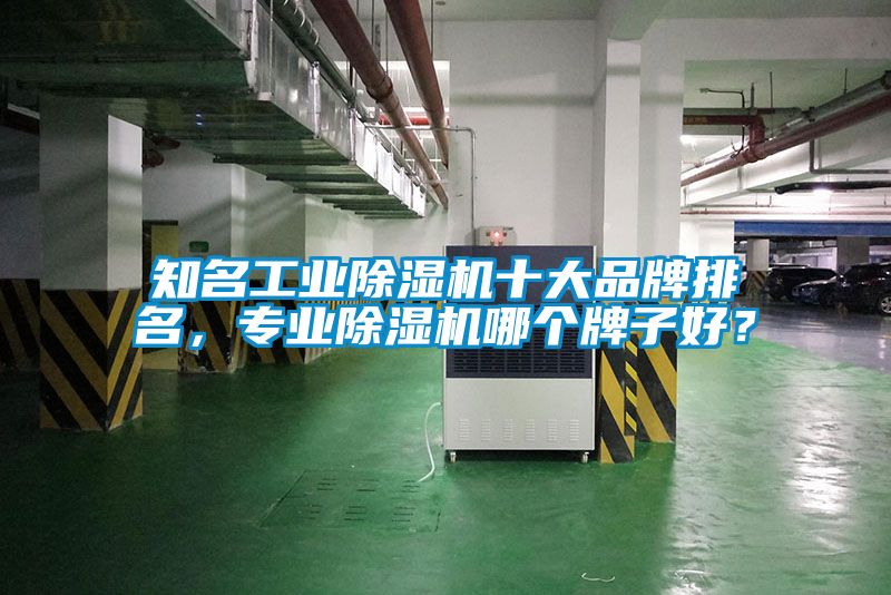 知名工業(yè)除濕機(jī)十大品牌排名，專業(yè)除濕機(jī)哪個牌子好？