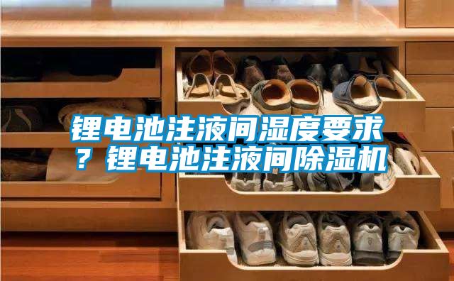 鋰電池注液間濕度要求？鋰電池注液間除濕機