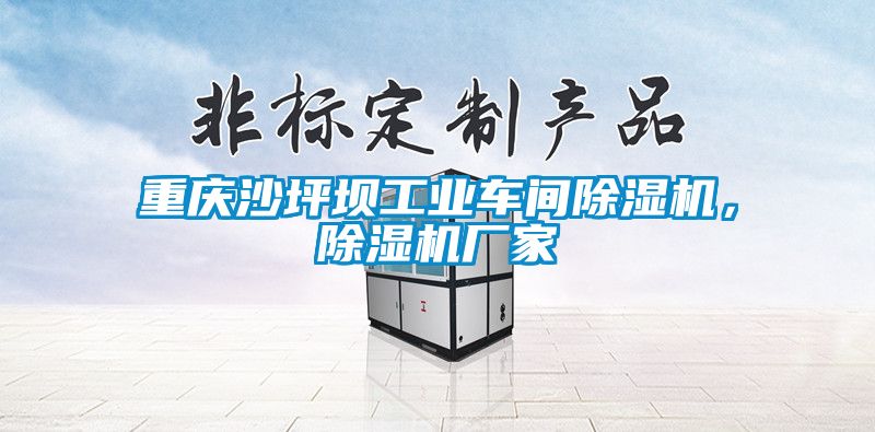 重慶沙坪壩工業車間除濕機，除濕機廠家