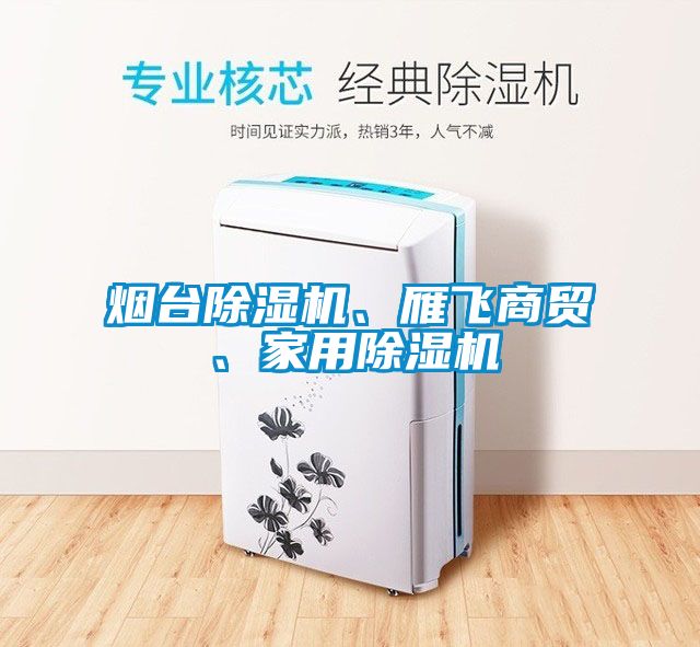 煙臺除濕機、雁飛商貿、家用除濕機