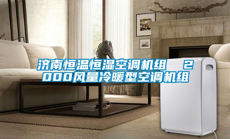 濟南恒溫恒濕空調(diào)機組  2000風(fēng)量冷暖型空調(diào)機組