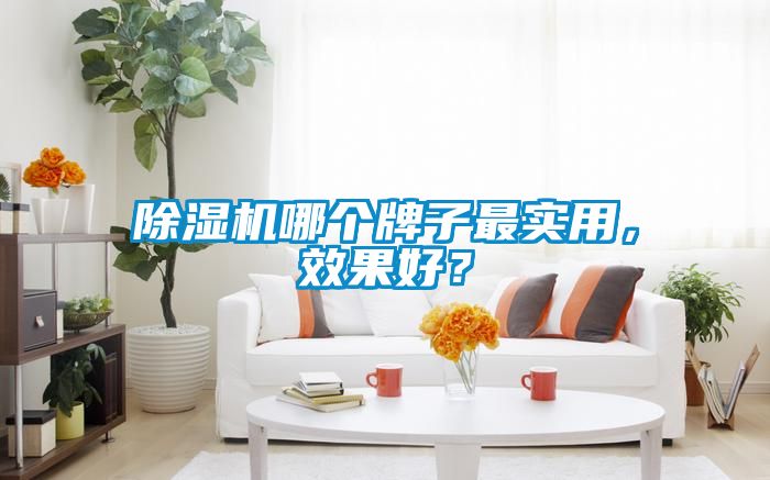 除濕機哪個牌子最實用，效果好？