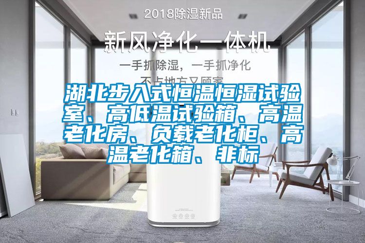 湖北步入式恒溫恒濕試驗室、高低溫試驗箱、高溫老化房、負載老化柜、高溫老化箱、非標