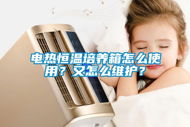電熱恒溫培養(yǎng)箱怎么使用？又怎么維護(hù)？