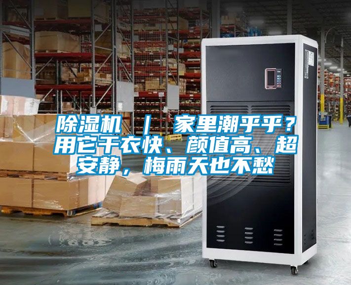 除濕機 ｜ 家里潮乎乎？用它干衣快、顏值高、超安靜，梅雨天也不愁