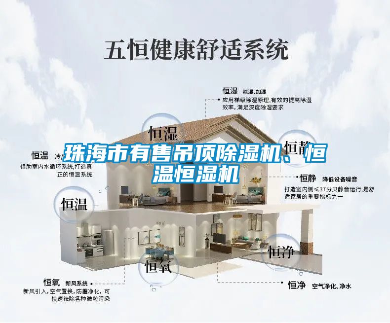 珠海市有售吊頂除濕機、恒溫恒濕機