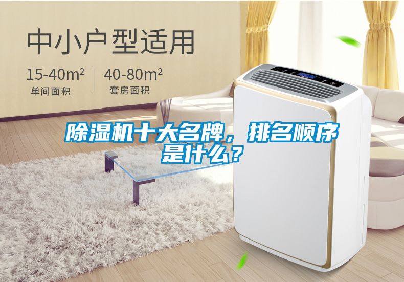 除濕機十大名牌，排名順序是什么？