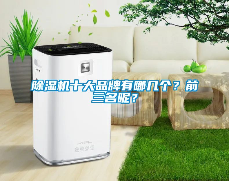 除濕機(jī)十大品牌有哪幾個(gè)？前三名呢？