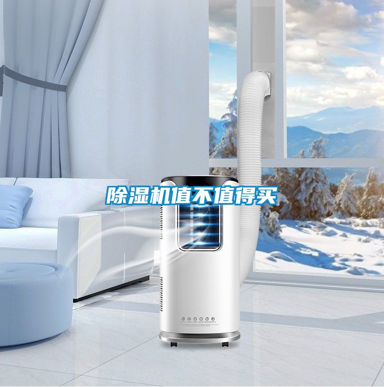 除濕機(jī)值不值得買(mǎi)