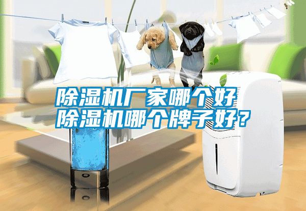 除濕機廠家哪個好 除濕機哪個牌子好？