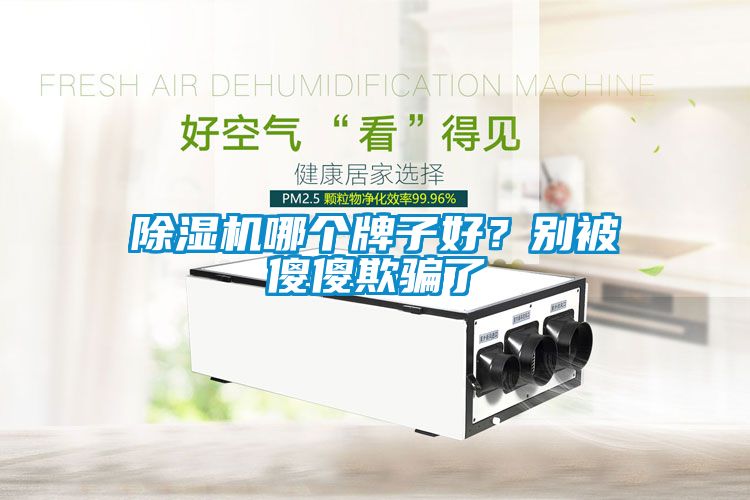 除濕機(jī)哪個(gè)牌子好？別被傻傻欺騙了