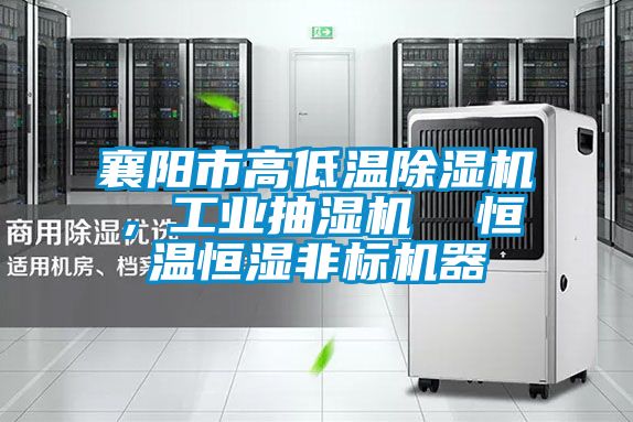 襄陽市高低溫除濕機，工業抽濕機  恒溫恒濕非標機器