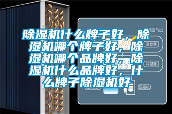 除濕機什么牌子好，除濕機哪個牌子好，除濕機哪個品牌好，除濕機什么品牌好，什么牌子除濕機好