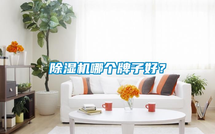 除濕機(jī)哪個(gè)牌子好？