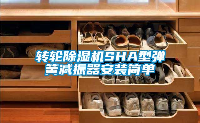 轉(zhuǎn)輪除濕機(jī)SHA型彈簧減振器安裝簡單