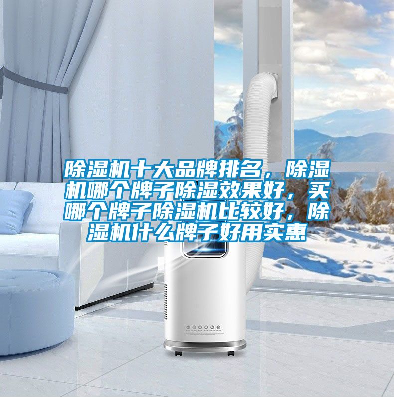 除濕機十大品牌排名，除濕機哪個牌子除濕效果好，買哪個牌子除濕機比較好，除濕機什么牌子好用實惠