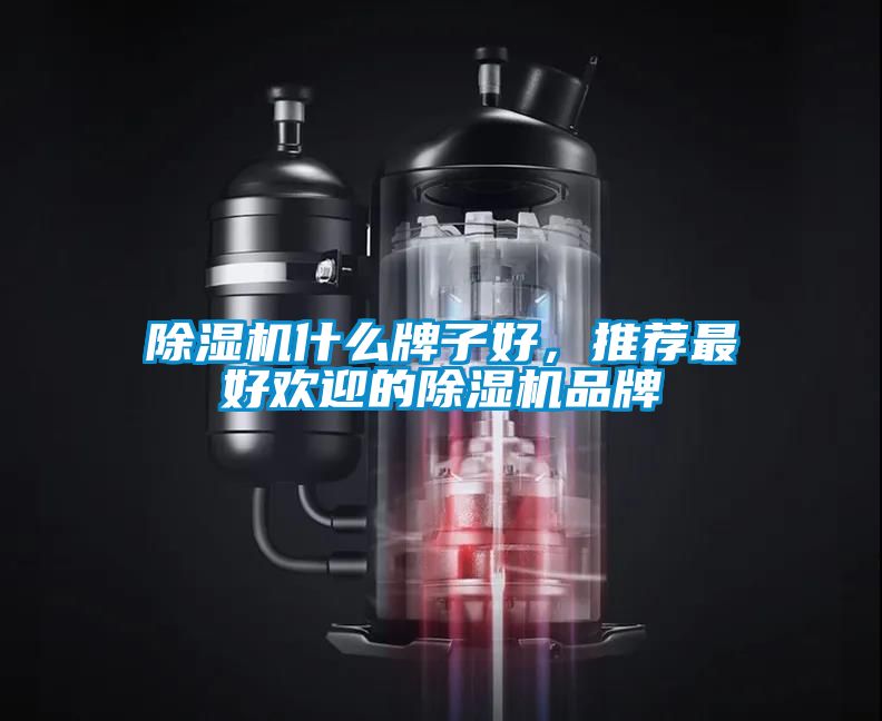 除濕機(jī)什么牌子好，推薦最好歡迎的除濕機(jī)品牌
