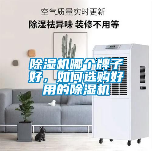 除濕機哪個牌子好，如何選購好用的除濕機