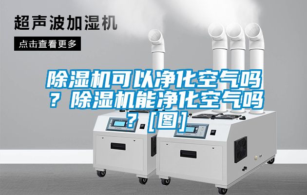 除濕機(jī)可以凈化空氣嗎？除濕機(jī)能凈化空氣嗎？[圖]