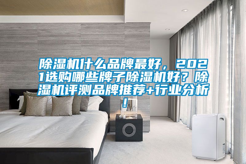 除濕機什么品牌最好，2021選購哪些牌子除濕機好？除濕機評測品牌推薦+行業分析！