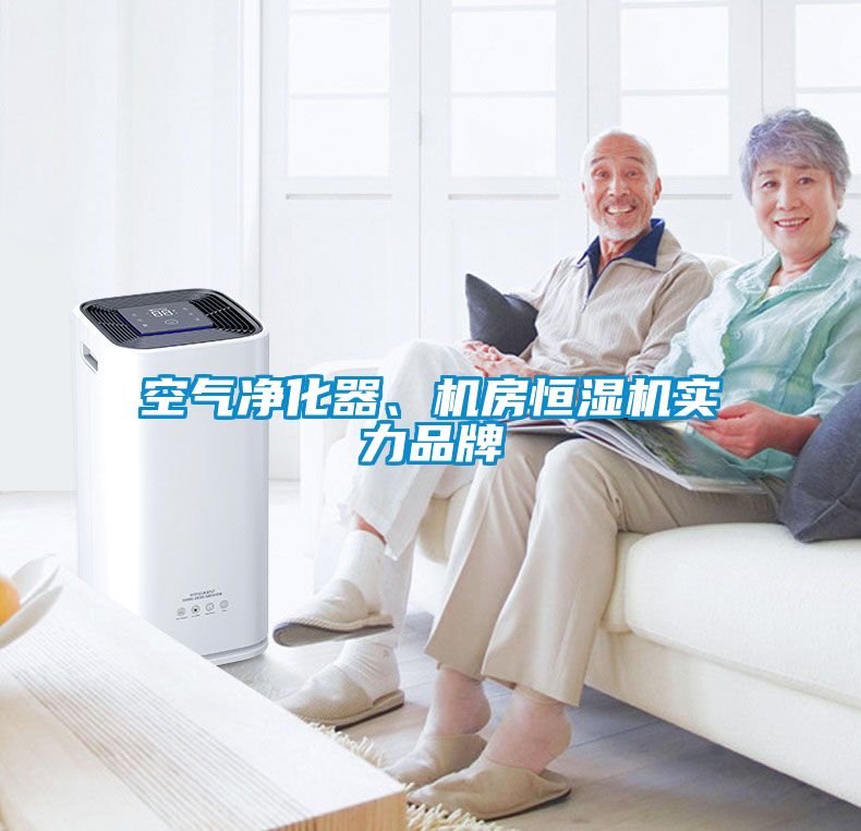 空氣凈化器、機房恒濕機實力品牌