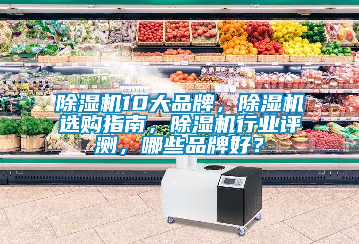 除濕機10大品牌，除濕機選購指南，除濕機行業(yè)評測，哪些品牌好？