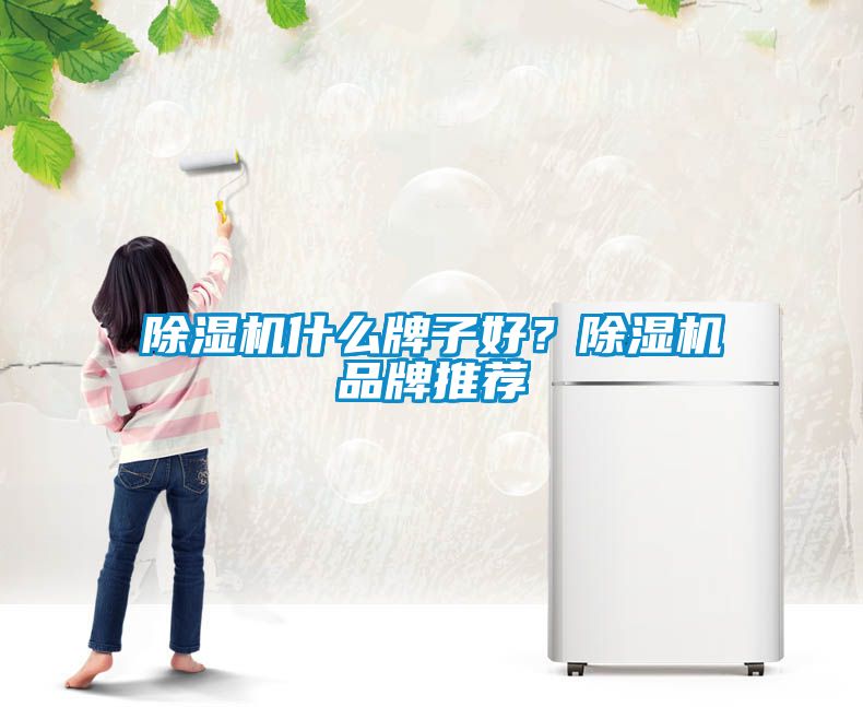 除濕機什么牌子好？除濕機品牌推薦