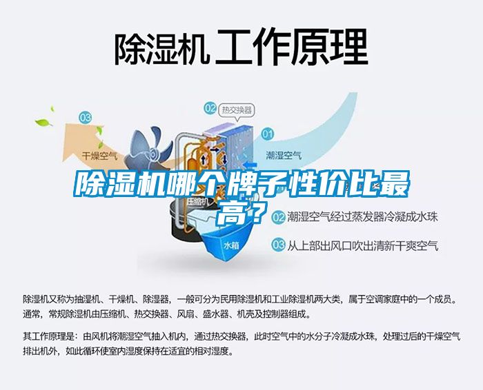除濕機哪個牌子性價比最高？
