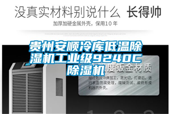 貴州安順冷庫低溫除濕機工業級9240C除濕機