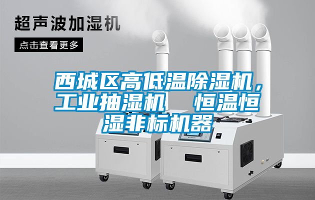 西城區高低溫除濕機，工業抽濕機  恒溫恒濕非標機器