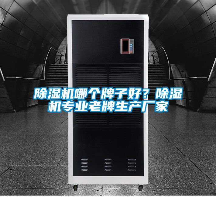除濕機(jī)哪個(gè)牌子好？除濕機(jī)專(zhuān)業(yè)老牌生產(chǎn)廠家