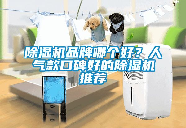 除濕機品牌哪個好？人氣款口碑好的除濕機推薦
