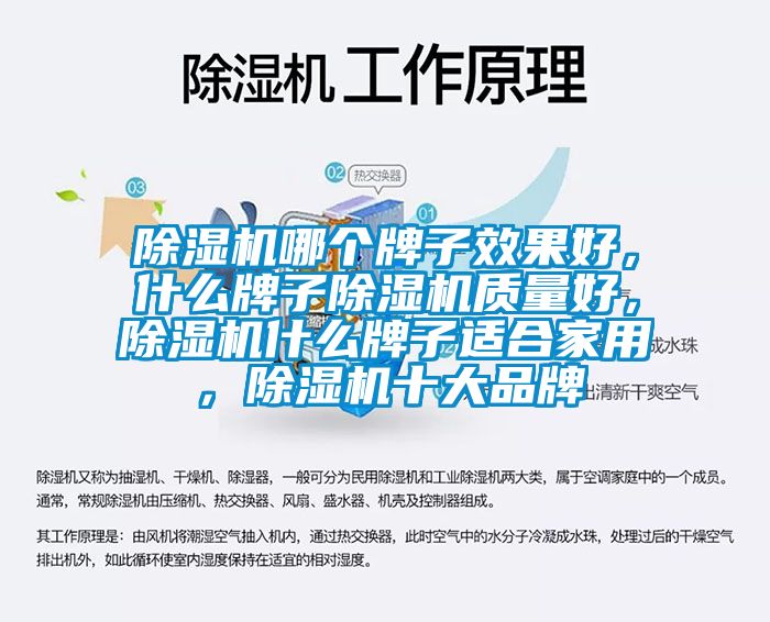 除濕機哪個牌子效果好，什么牌子除濕機質量好，除濕機什么牌子適合家用，除濕機十大品牌
