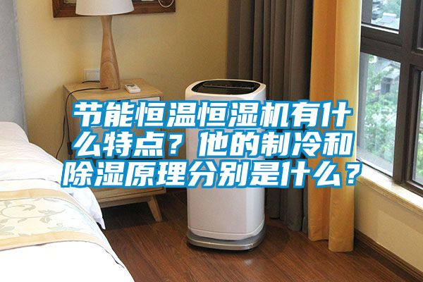 節(jié)能恒溫恒濕機(jī)有什么特點(diǎn)？他的制冷和除濕原理分別是什么？