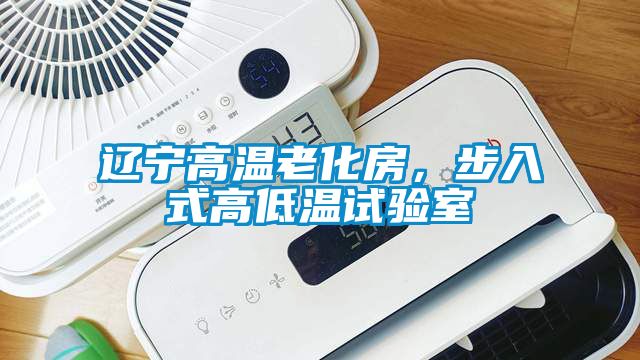 遼寧高溫老化房，步入式高低溫試驗室