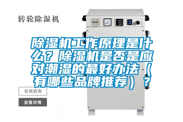 除濕機工作原理是什么？除濕機是否是應對潮濕的最好辦法（有哪些品牌推薦）？