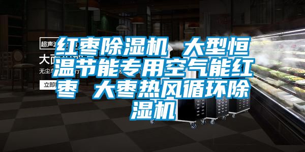 紅棗除濕機 大型恒溫節能專用空氣能紅棗 大棗熱風循環除濕機