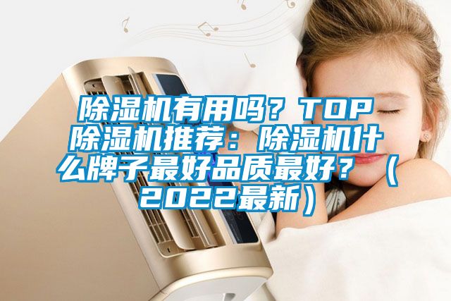 除濕機有用嗎？TOP除濕機推薦：除濕機什么牌子最好品質(zhì)最好？（2022最新）