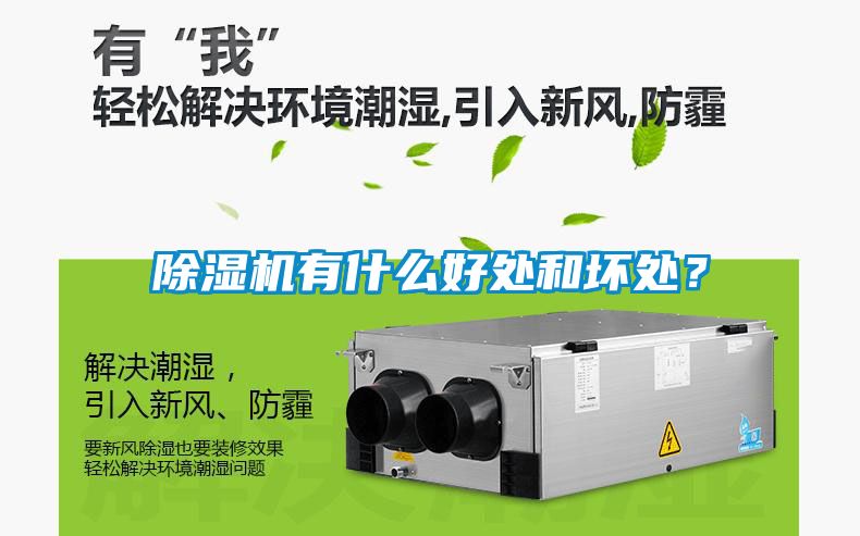 除濕機有什么好處和壞處？