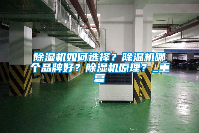 除濕機如何選擇？除濕機哪個品牌好？除濕機原理？_重復