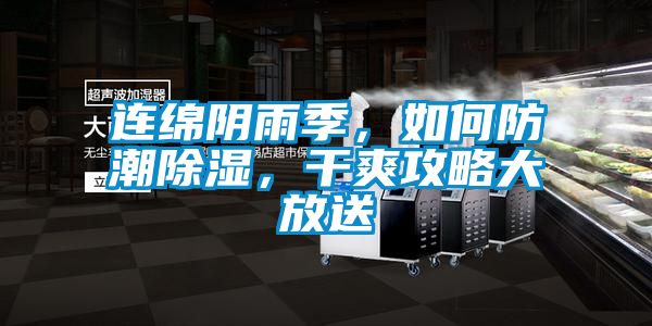 連綿陰雨季，如何防潮除濕，干爽攻略大放送