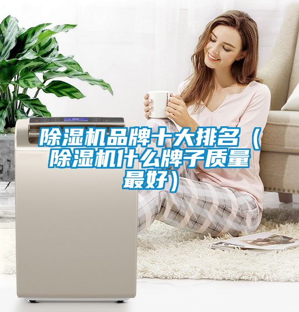 除濕機品牌十大排名（除濕機什么牌子質(zhì)量最好）