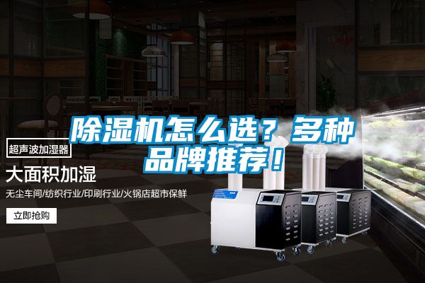除濕機(jī)怎么選？多種品牌推薦！