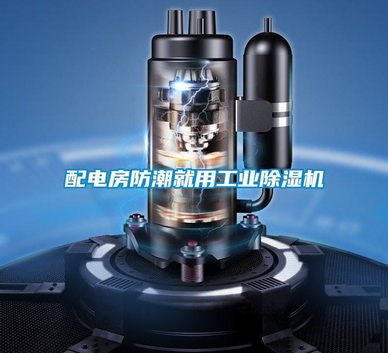 配電房防潮就用工業除濕機
