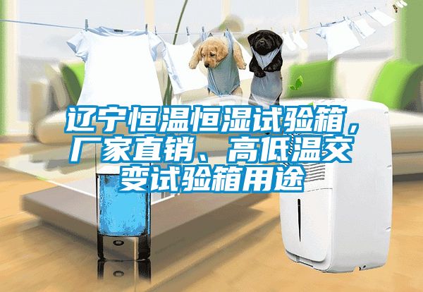 遼寧恒溫恒濕試驗(yàn)箱，廠家直銷、高低溫交變?cè)囼?yàn)箱用途