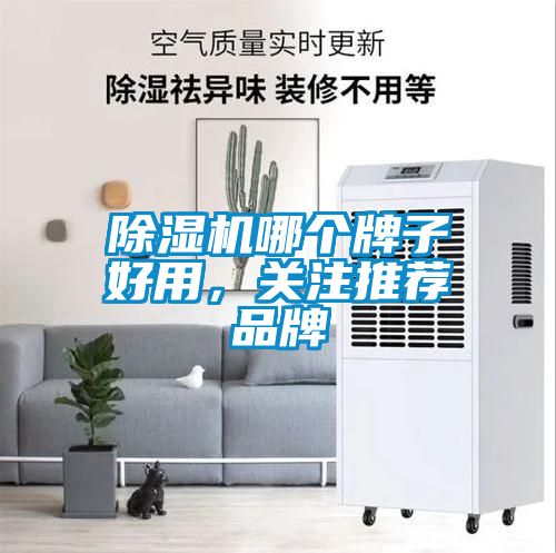除濕機(jī)哪個(gè)牌子好用，關(guān)注推薦品牌