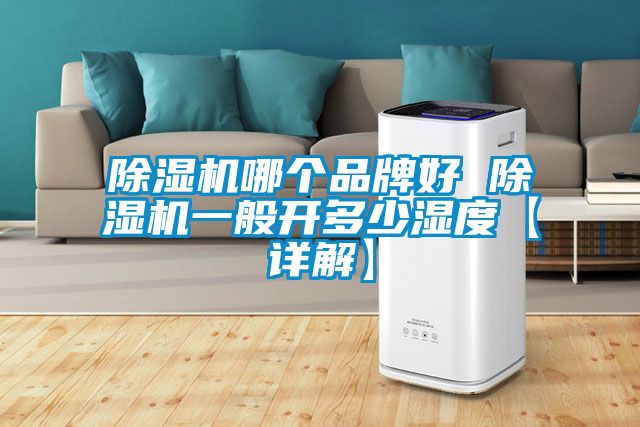 除濕機(jī)哪個品牌好 除濕機(jī)一般開多少濕度【詳解】